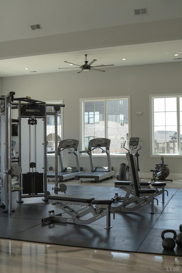 1022 N Westyn Loop, Forest, VA 24551 - exercise room featuring healthy amount of natural light, ceiling fan, and recessed lighting