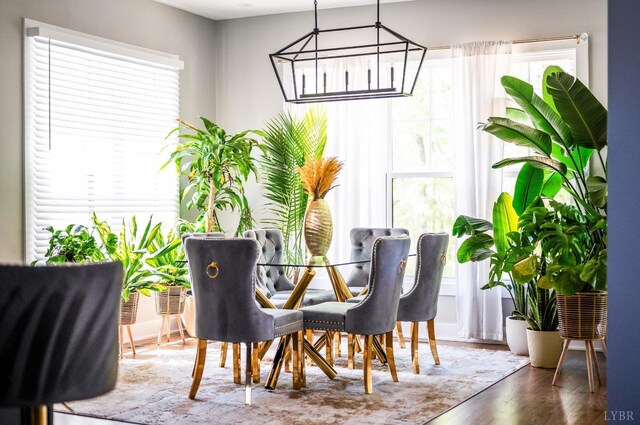 301 Bentley Grove Way, Lynchburg, VA 24502 - dining area with plenty of natural light, wood finished floors, and a chandelier