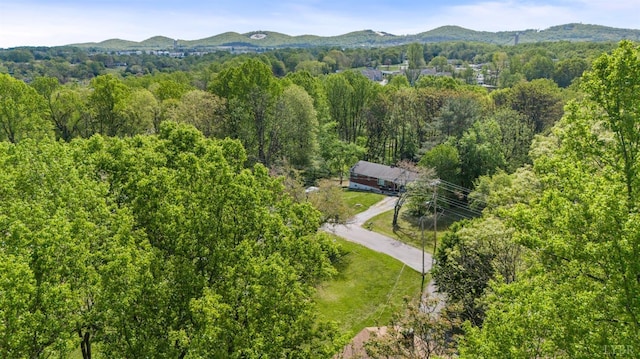 119 Adams Dr, Lynchburg, VA 24502 - bird's eye view of a mountain backdrop and a forest