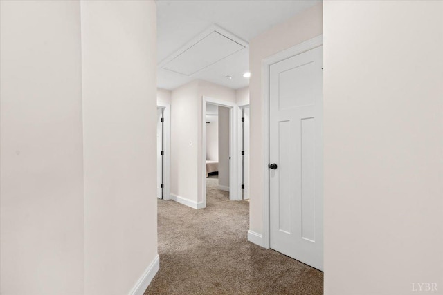 hall featuring carpet floors, attic access, and baseboards