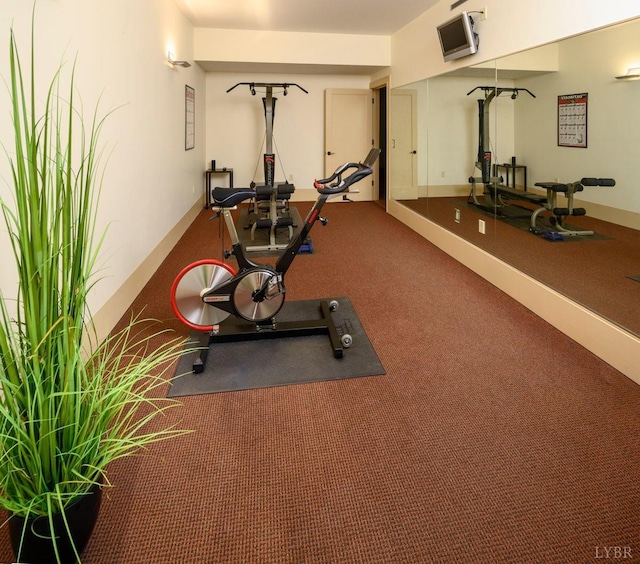 1209 Sycamore Creek Dr, Goode, VA 24556 - workout area with carpet