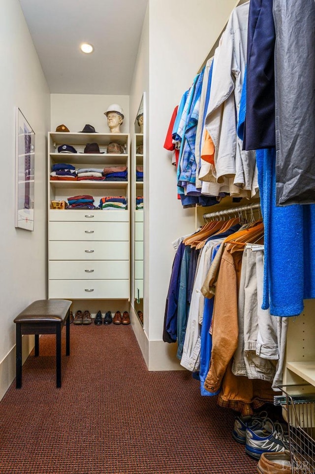 1209 Sycamore Creek Dr, Goode, VA 24556 - spacious closet featuring carpet