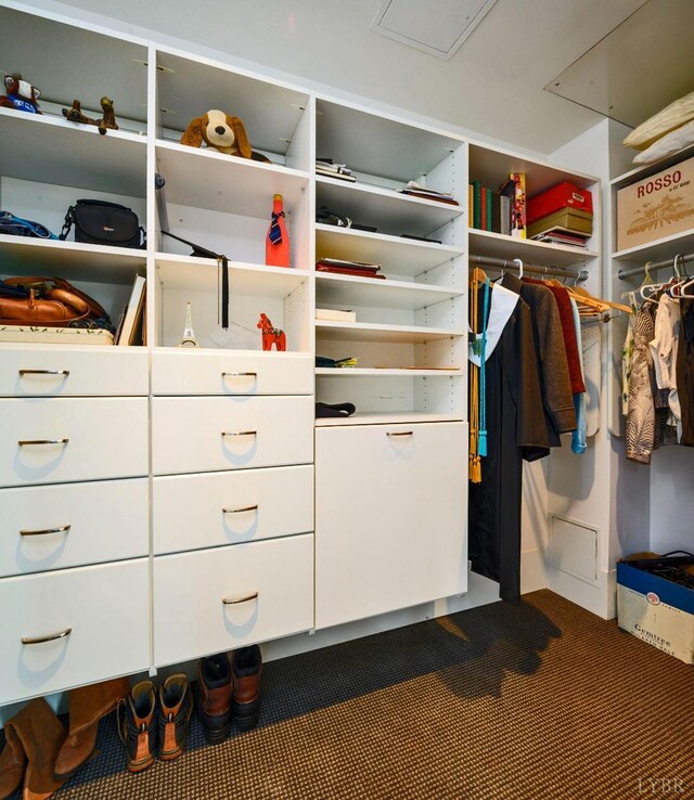 1209 Sycamore Creek Dr, Goode, VA 24556 - view of spacious closet
