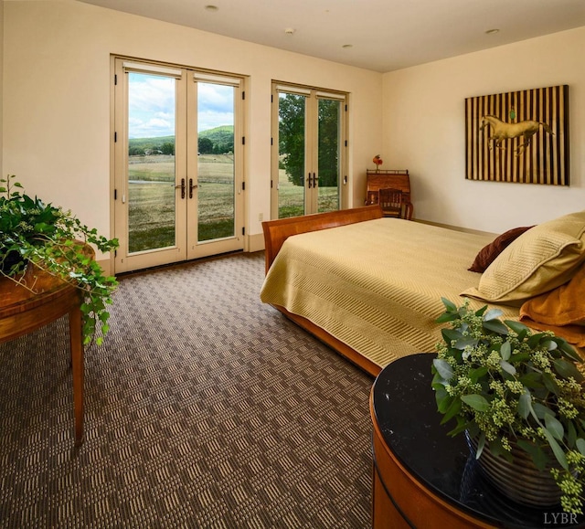 1209 Sycamore Creek Dr, Goode, VA 24556 - bedroom featuring multiple windows, carpet, french doors, and access to exterior