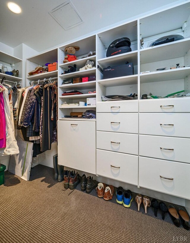 1209 Sycamore Creek Dr, Goode, VA 24556 - spacious closet with carpet flooring
