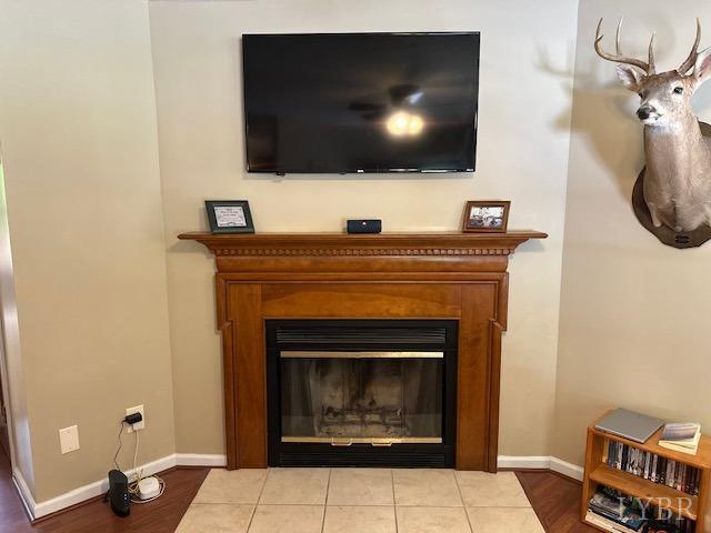 301 Gooseneck Ct, Forest, VA 24551 - detailed view of baseboards, a glass covered fireplace, and wood finished floors