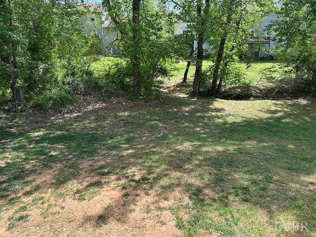 301 Gooseneck Ct, Forest, VA 24551 - view of green lawn