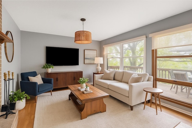 106 Catlett Ct, Moneta, VA 24121 - living room featuring light wood-type flooring
