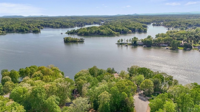 106 Catlett Ct, Moneta, VA 24121 - aerial view of a large body of water