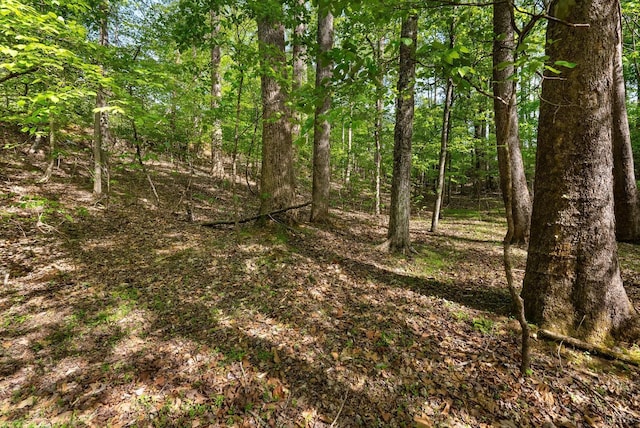 379 High Point Rd, Moneta, VA 24121
