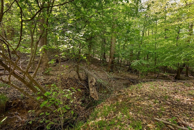 379 High Point Rd, Moneta, VA 24121
