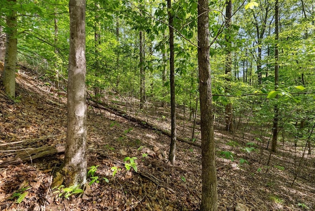 379 High Point Rd, Moneta, VA 24121