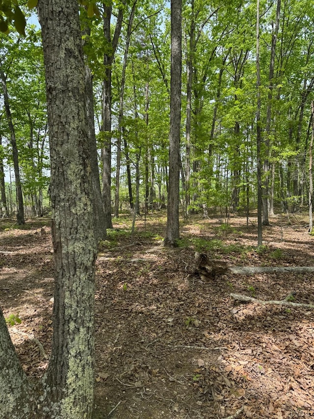 0 Renan Rd, Gretna, VA 24557
