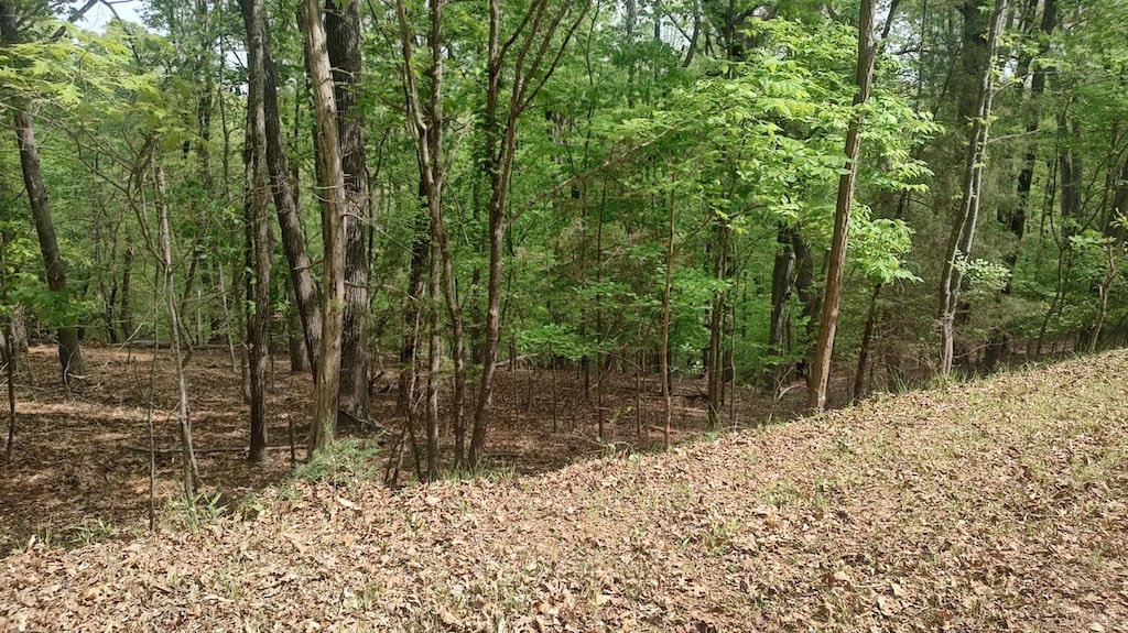 0 Shad Run Dr, Moneta, VA 24121