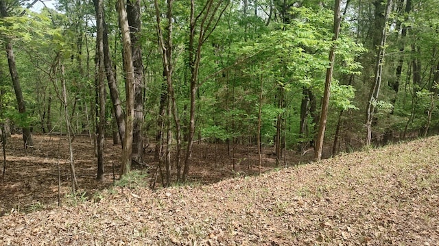 0 Shad Run Dr, Moneta, VA 24121