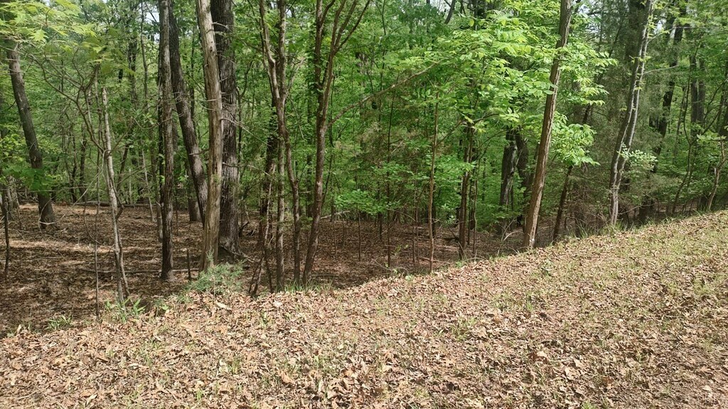 0 Shad Run Dr, Moneta, VA 24121