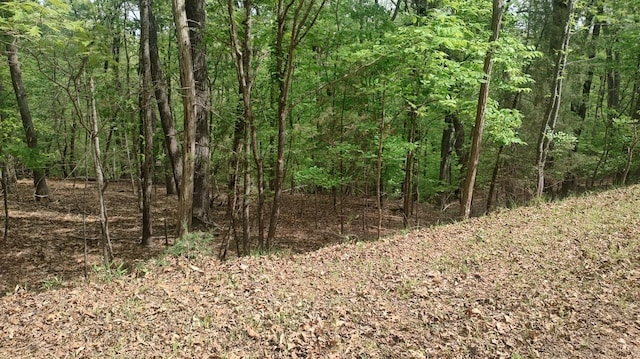 0 Shad Run Dr, Moneta, VA 24121