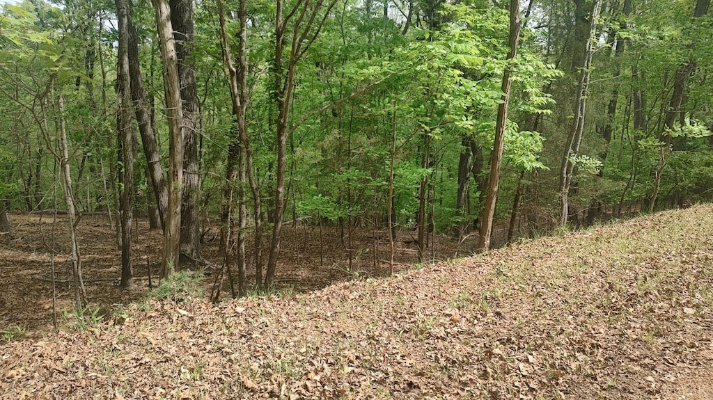 0 Shad Run Dr, Moneta, VA 24121