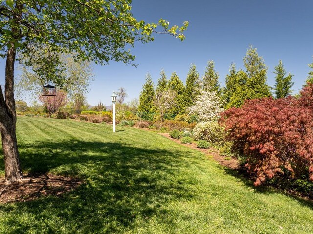 1984 Link Rd, Lynchburg, VA 24503 - photo 40