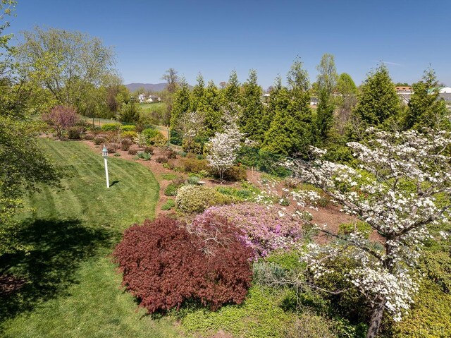 1984 Link Rd, Lynchburg, VA 24503 - photo 46