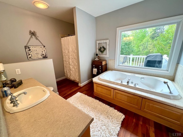 216 Burford Farm Rd, Monroe, VA 24574 - full bath with wood finished floors, a whirlpool tub, and vanity
