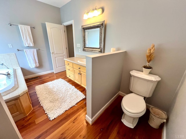 216 Burford Farm Rd, Monroe, VA 24574 - bathroom featuring wood finished floors, vanity, and a garden tub