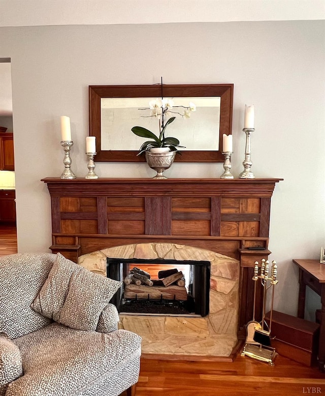 216 Burford Farm Rd, Monroe, VA 24574 - detailed view of a high end fireplace and wood finished floors
