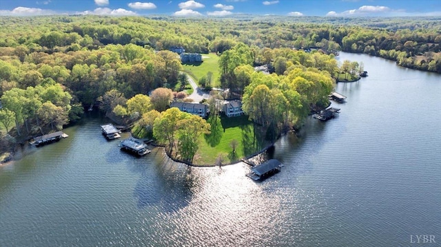 1791 Windlass Dr, Moneta, VA 24121 - aerial view featuring a water view and a wooded view