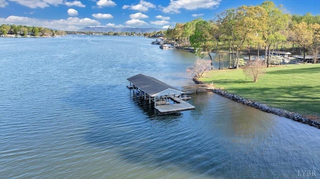 1791 Windlass Dr, Moneta, VA 24121 - water view featuring a boat dock