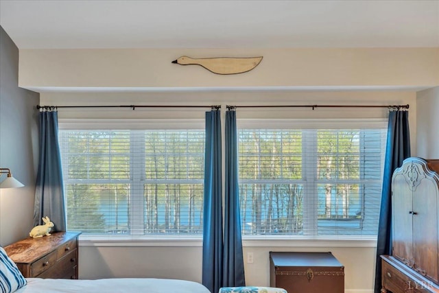 231 Mountain Cove Dr Unit 5, Hardy, VA 24101 - bedroom featuring multiple windows