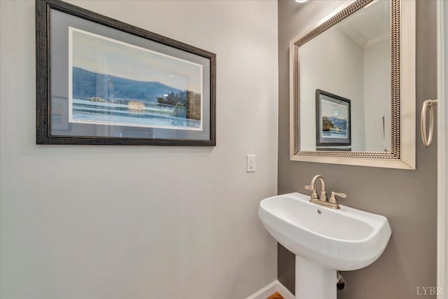 231 Mountain Cove Dr Unit 5, Hardy, VA 24101 - bathroom with a sink and crown molding