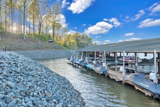 231 Mountain Cove Dr Unit 5, Hardy, VA 24101 - dock featuring a water view and boat lift