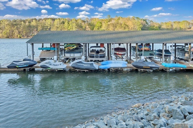 231 Mountain Cove Dr Unit 5, Hardy, VA 24101 - dock featuring boat lift, a water view, and a view of trees