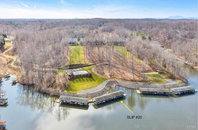 231 Mountain Cove Dr Unit 5, Hardy, VA 24101 - aerial view of property's location featuring a forest and a large body of water