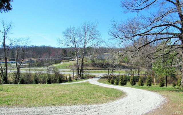 1697 S Amherst Hwy, Amherst, VA 24521 - view of street