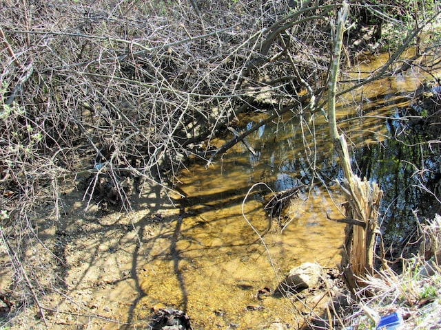 1697 S Amherst Hwy, Amherst, VA 24521 - view of nature