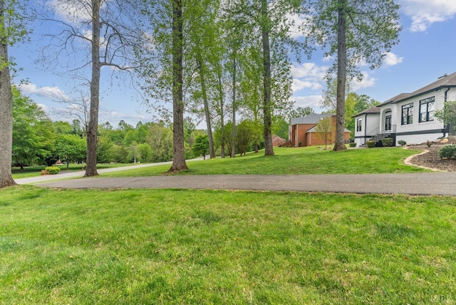 1208 Rocky Branch Dr, Forest, VA 24551 - view of green lawn