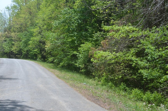 0 Dearing Ford Rd, Altavista, VA 24517