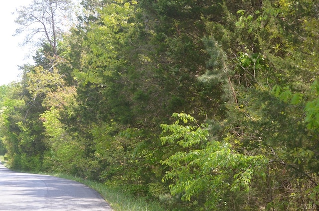 0 Dearing Ford Rd, Altavista, VA 24517