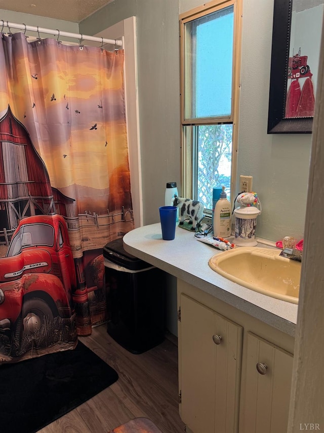 202 Stallion Way, Amherst, VA 24521 - full bathroom featuring wood finished floors, vanity, and a shower with shower curtain