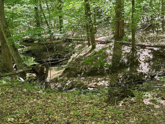 202 Stallion Way, Amherst, VA 24521 - view of undeveloped land