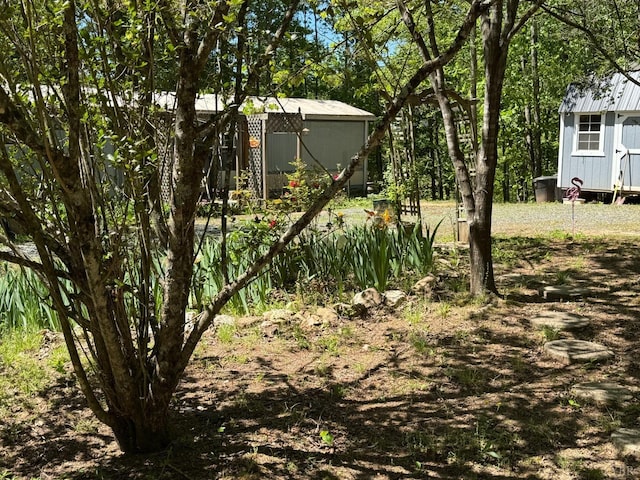 202 Stallion Way, Amherst, VA 24521 - view of yard with a shed