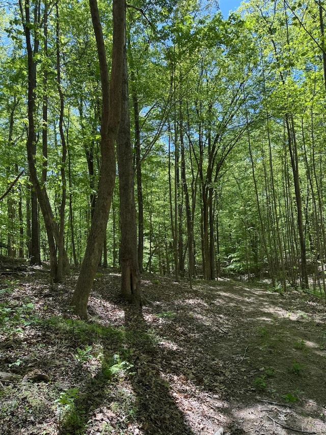 202 Stallion Way, Amherst, VA 24521 - view of woods