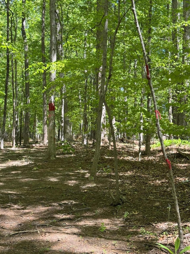 202 Stallion Way, Amherst, VA 24521 - view of nature