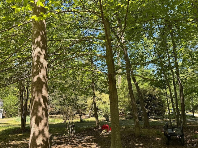 202 Stallion Way, Amherst, VA 24521 - view of nature