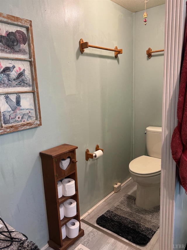 202 Stallion Way, Amherst, VA 24521 - bathroom with toilet and wood finished floors