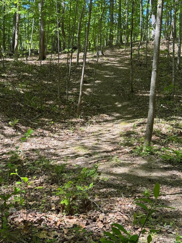 202 Stallion Way, Amherst, VA 24521 - view of undeveloped land