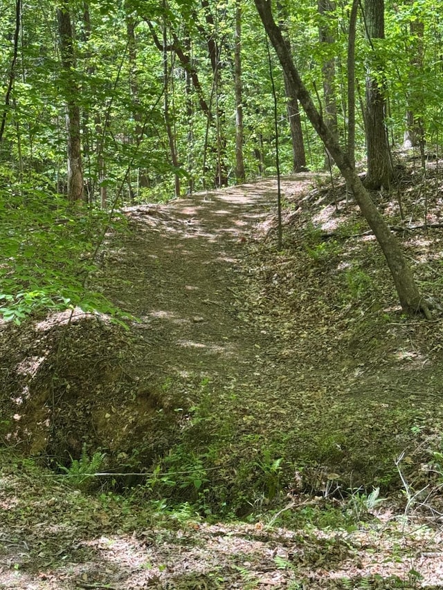 202 Stallion Way, Amherst, VA 24521 - view of tree filled area