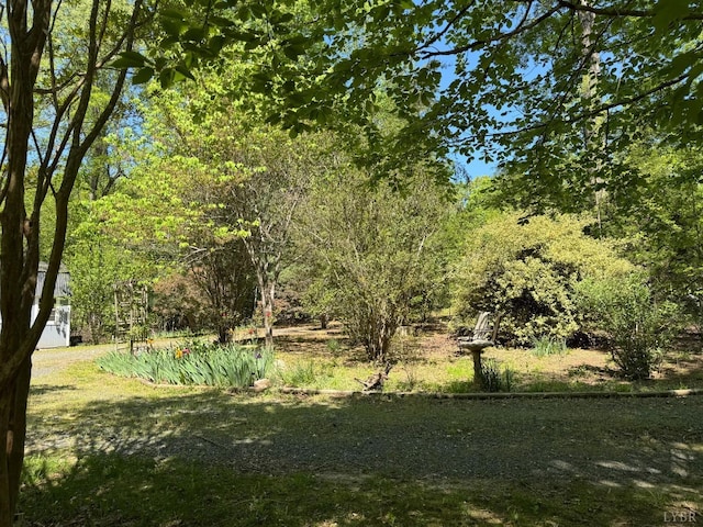 202 Stallion Way, Amherst, VA 24521 - view of yard