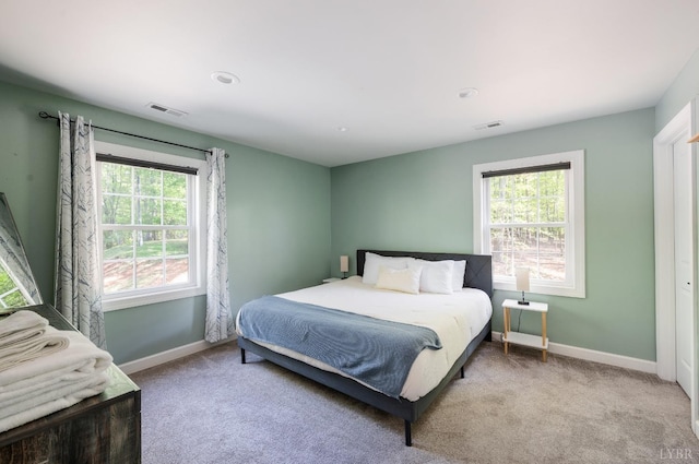 1132 Bancroft, Goode, VA 24556 - carpeted bedroom with baseboards, multiple windows, and visible vents